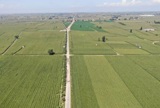 《安置补偿方案》在缺失关键前置程序时，是否合法？